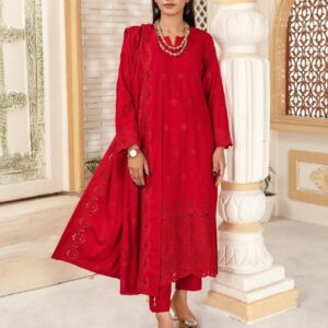 BINT E NAZ LUXURY WINTER CHICKENKARI CUTWORKS 3 PIECE COLLECTION