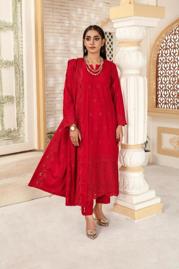 BINT E NAZ LUXURY WINTER CHICKENKARI CUTWORKS 3 PIECE COLLECTION