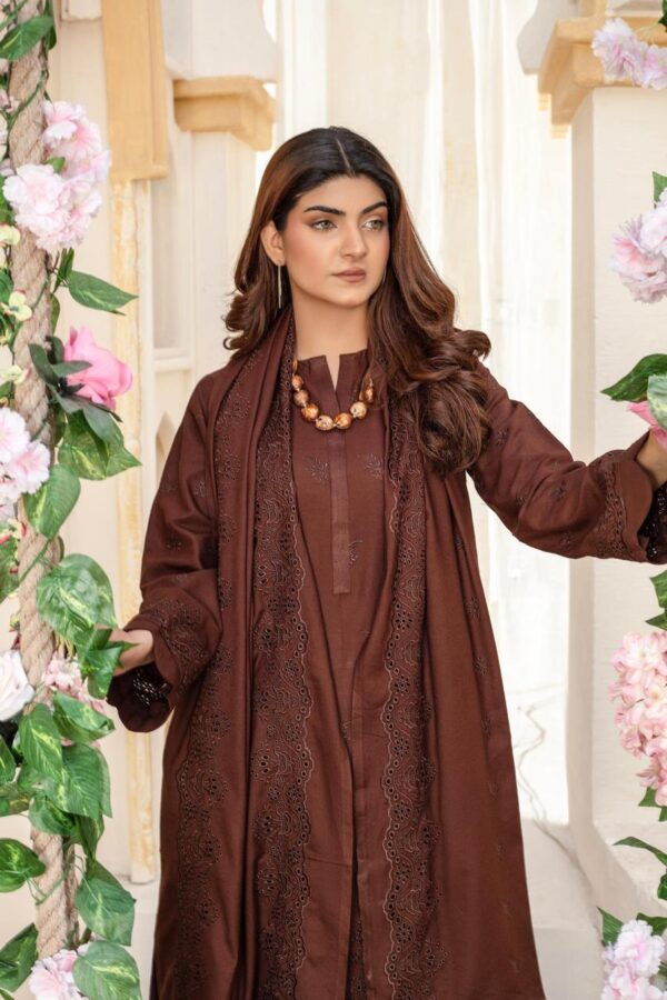 BINT E NAZ LUXURY WINTER CHICKENKARI CUTWORKS 3 PIECE COLLECTION - Image 6