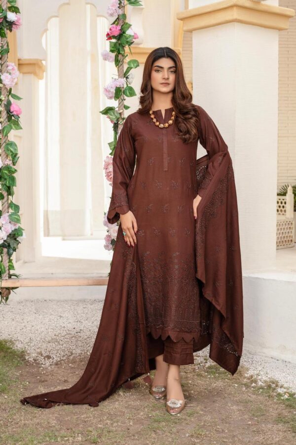 BINT E NAZ LUXURY WINTER CHICKENKARI CUTWORKS 3 PIECE COLLECTION