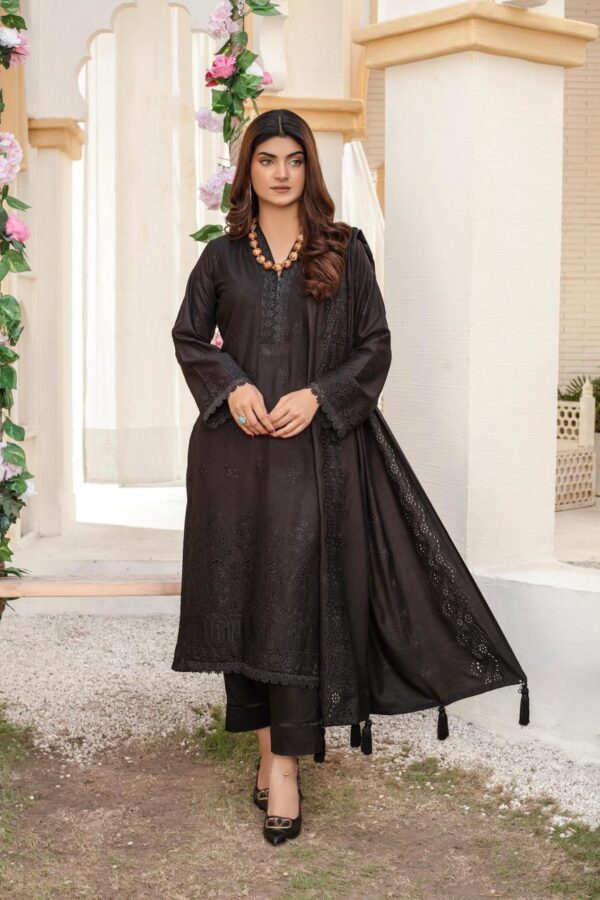 BINT E NAZ LUXURY WINTER CHICKENKARI CUTWORKS 3 PIECE COLLECTION