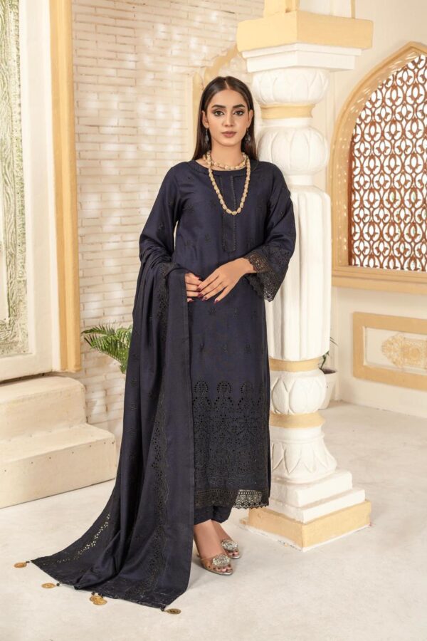 BINT E NAZ LUXURY WINTER CHICKENKARI CUTWORKS 3 PIECE COLLECTION