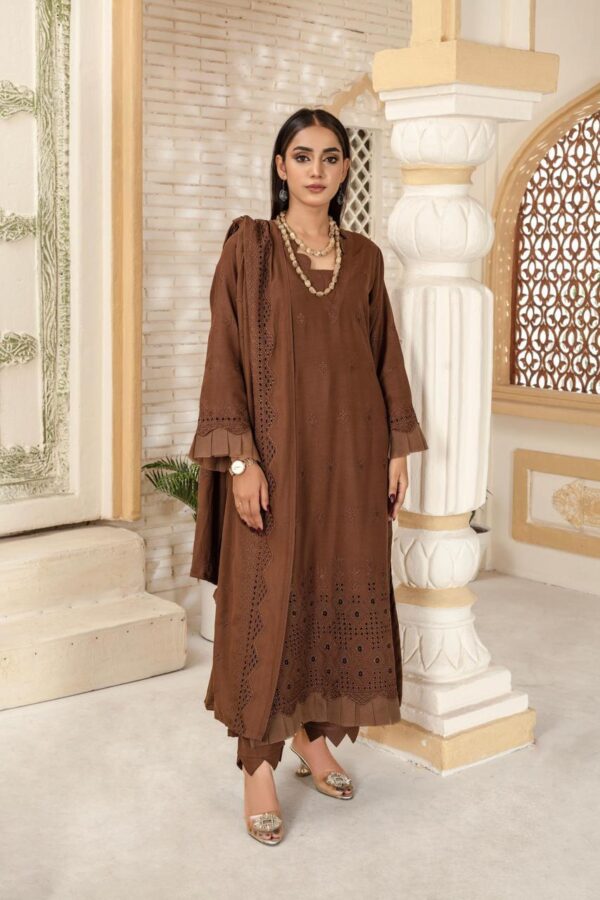 BINT E NAZ LUXURY WINTER CHICKENKARI CUTWORKS 3 PIECE COLLECTION