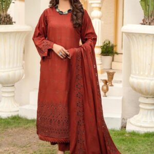 BINT E NAZ LUXURY WINTER CHICKENKARI CUTWORKS 3 PIECE COLLECTION