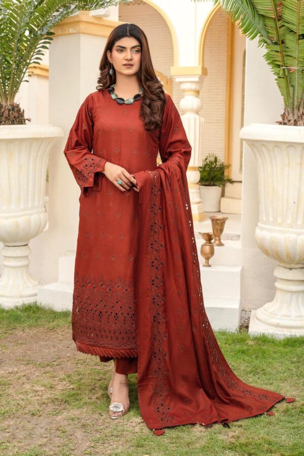 BINT E NAZ LUXURY WINTER CHICKENKARI CUTWORKS 3 PIECE COLLECTION