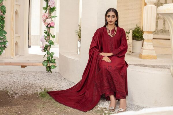 BINT E NAZ LUXURY WINTER CHICKENKARI CUTWORKS 3 PIECE COLLECTION - Image 2