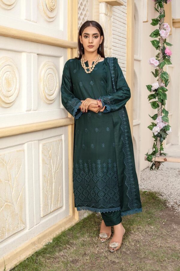 BINT E NAZ LUXURY WINTER CHICKENKARI CUTWORKS 3 PIECE COLLECTION