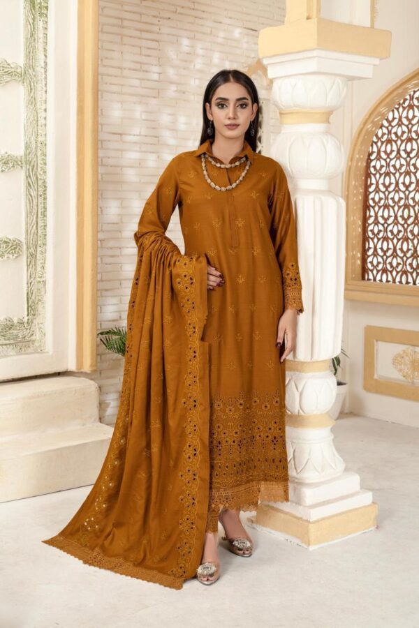 BINT E NAZ LUXURY WINTER CHICKENKARI CUTWORKS 3 PIECE COLLECTION